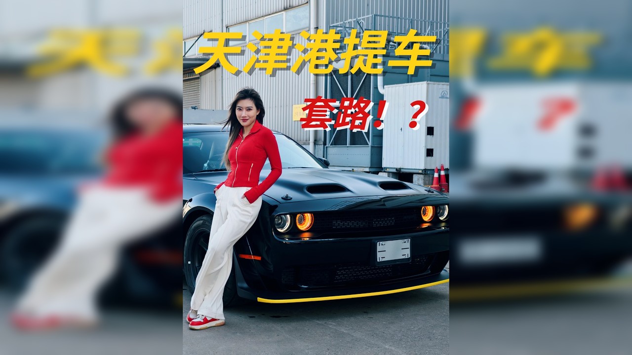 套路满满？比海还深！千万别来天津港买地狱猫！？