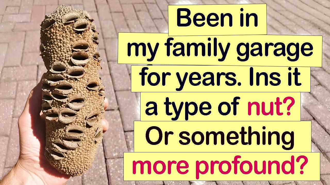 Everyday Objects That Confused People Until Someone Explained Them