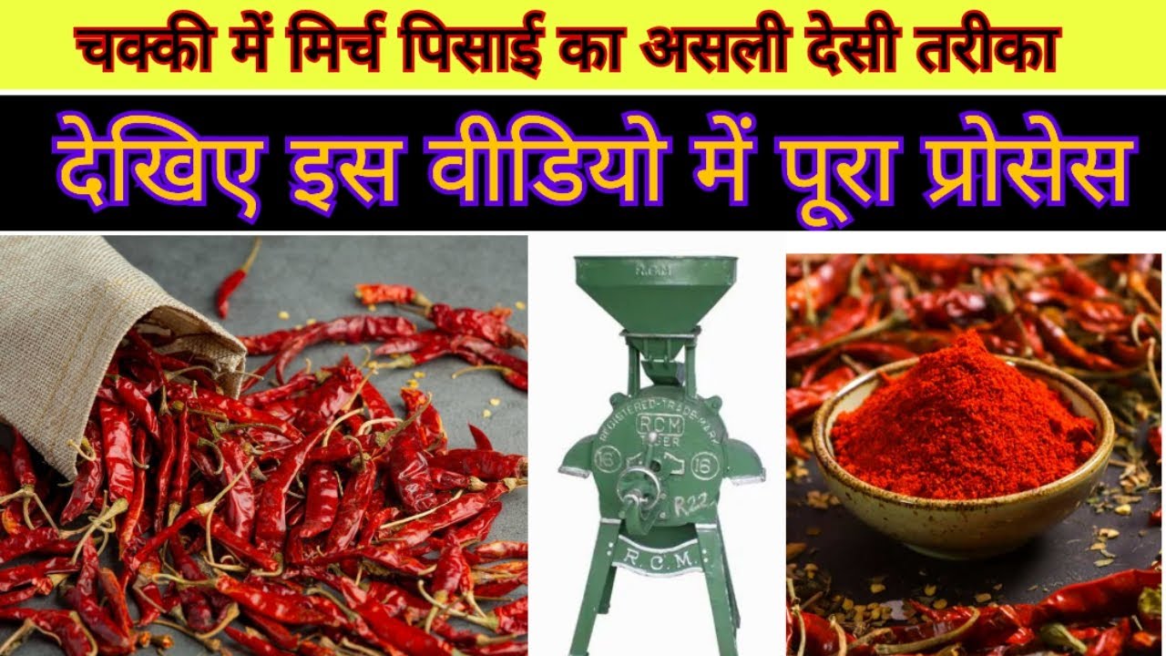 सूखी मिर्च पीसाई | देसी चक्की में ताज़ा लाल मिर्च पाउडर तैयार 🌶️Red Chilli Powder Making