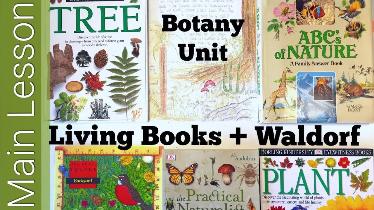 How to Use Living Books for a Waldorf Main Lesson Block