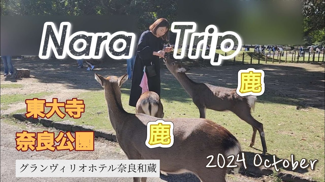 奈良　弾丸家族旅行記録　東大寺、奈良公園グランヴィリオホテル奈良和蔵泊