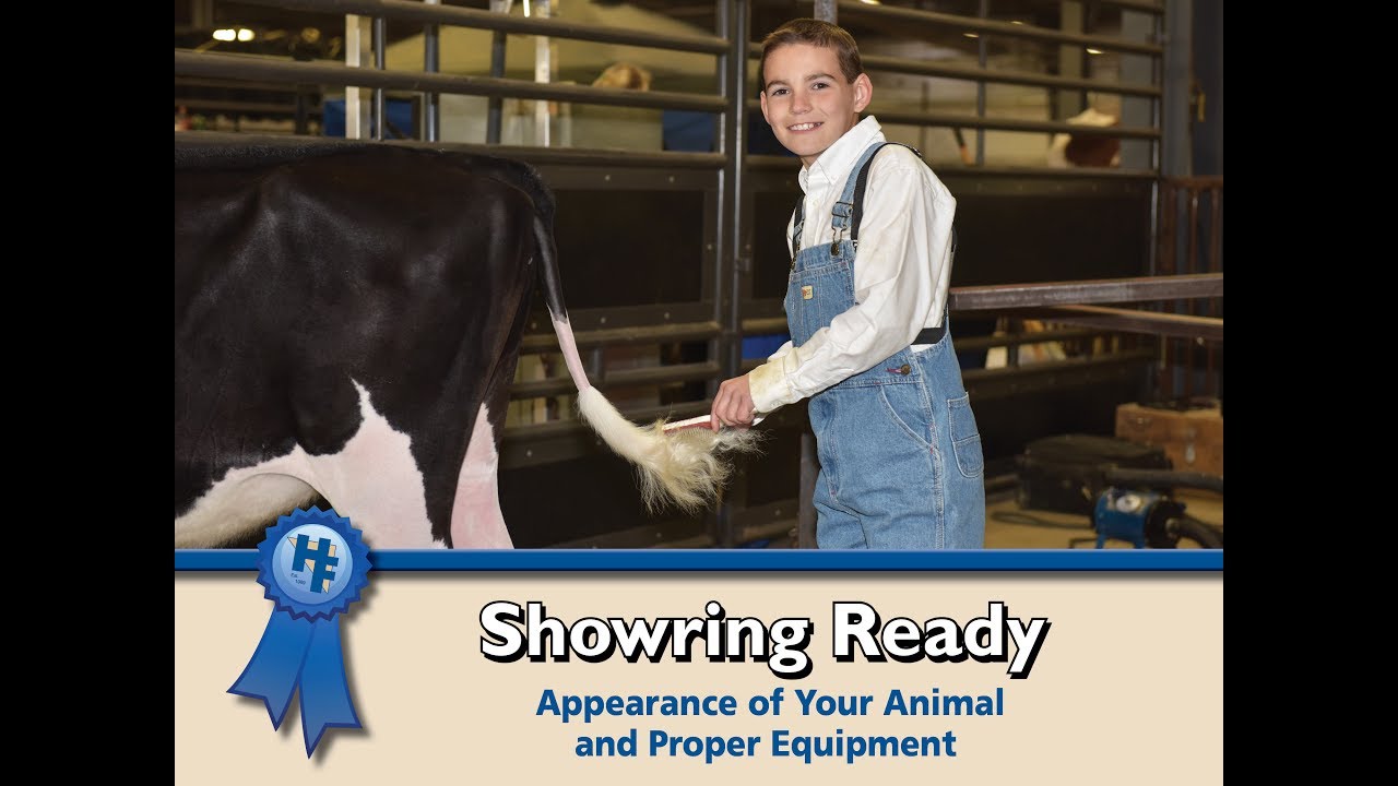 Showring Ready: Appearance of Your Animal and Proper Equipment