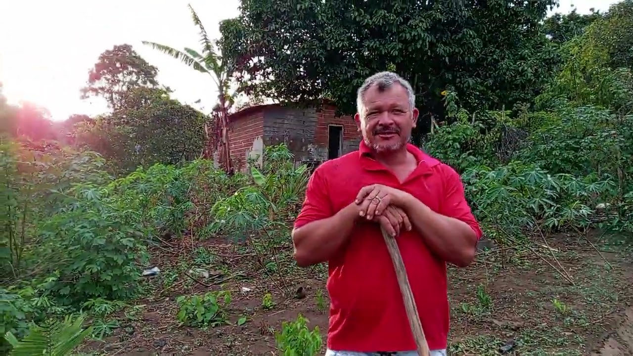 Começando a cavar leira para o plantio #sitio #vidanaroça