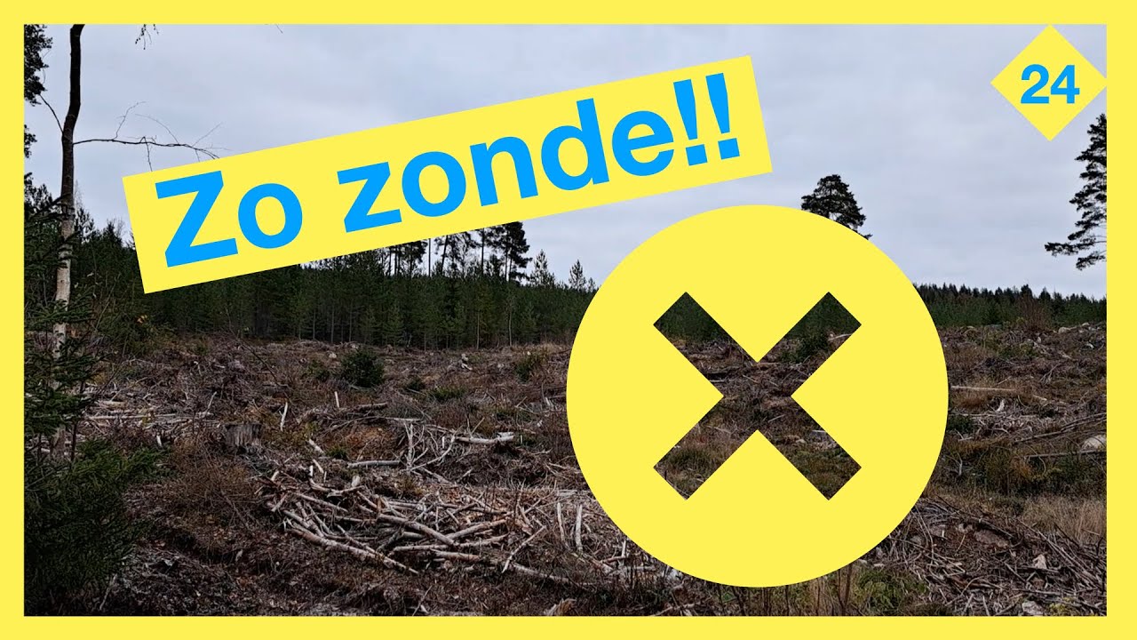 Problemen met de eerste serieuze sneeuwval & Dit vind ik zo zonde! - Vlog 24