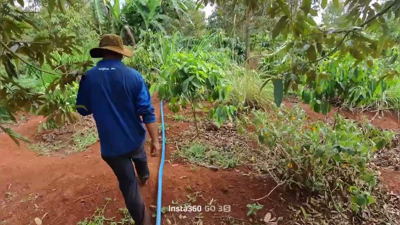 ngày 4 tháng 3, 2026