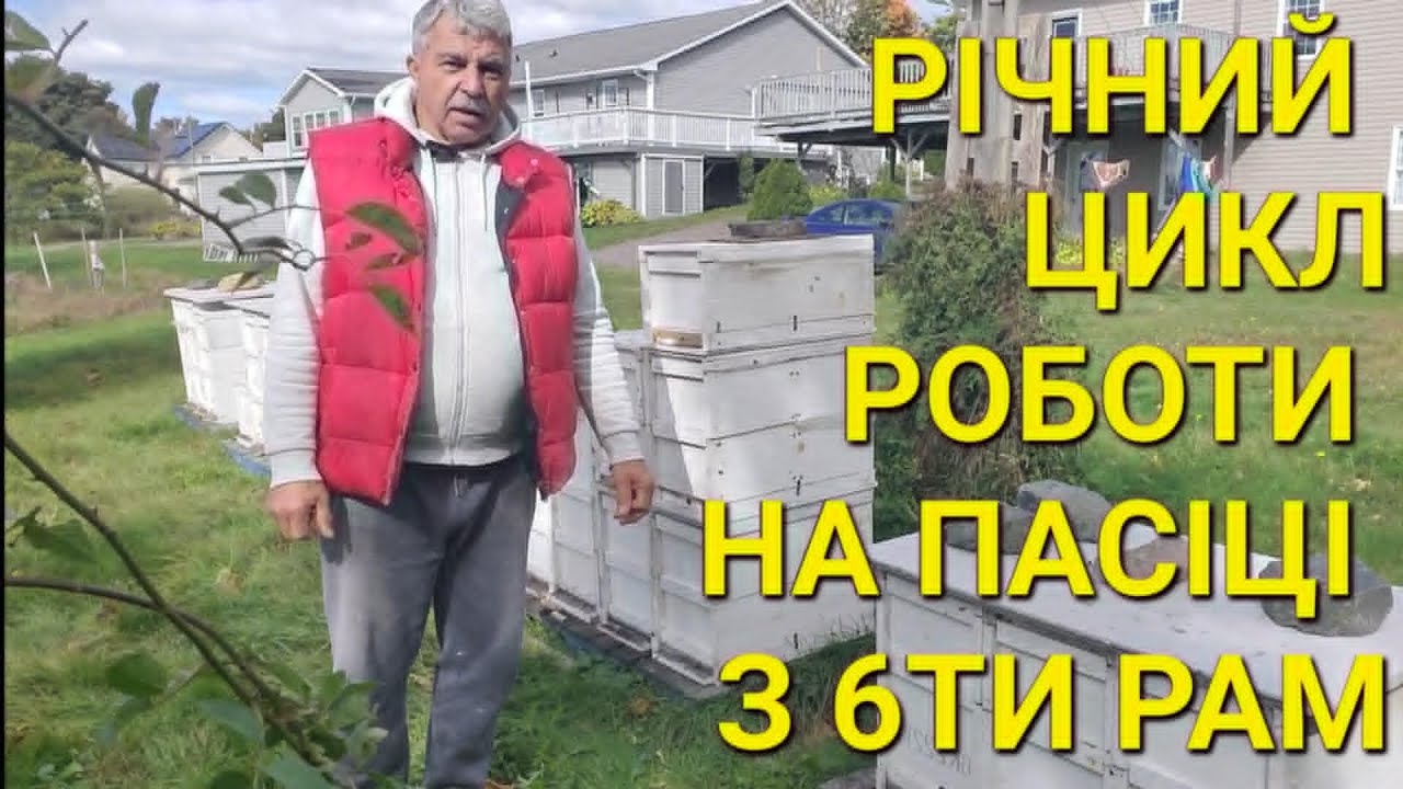 Річний цикл роботи на пасіці з 6ти рам #бджільництвов6тирамвуликах