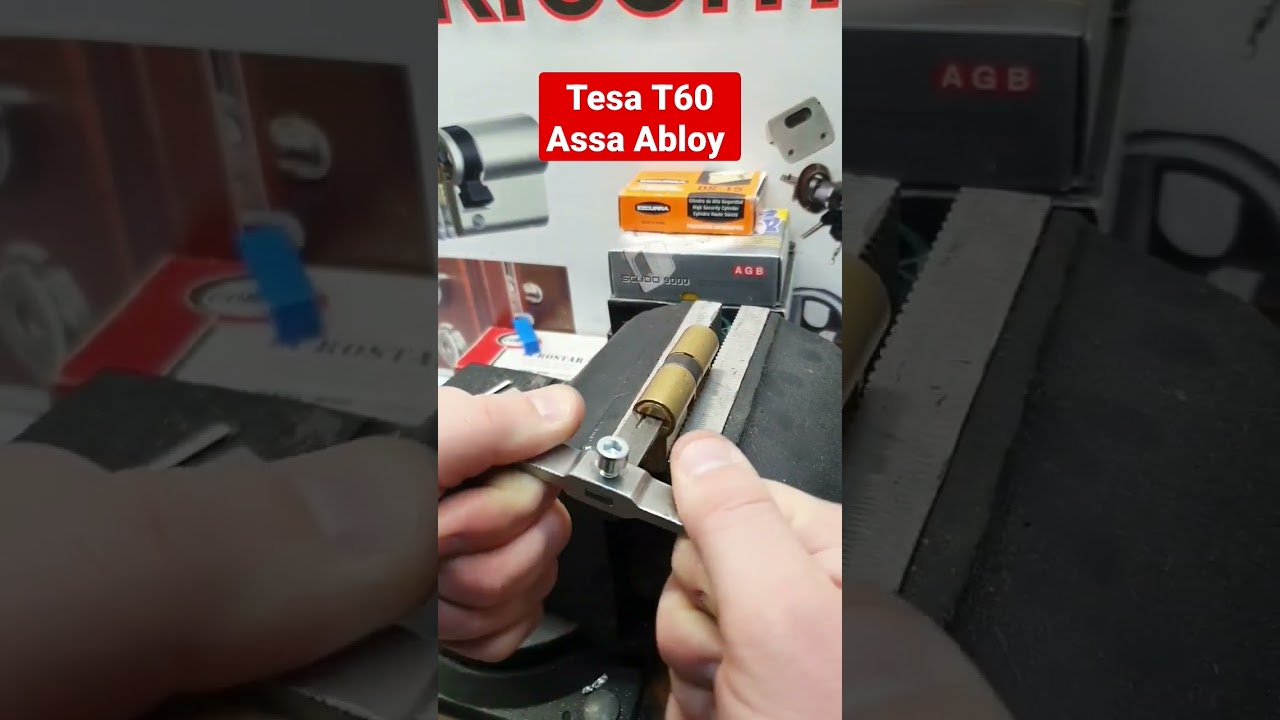 Tesa t60+380933008410 WhatsApp Telegram  