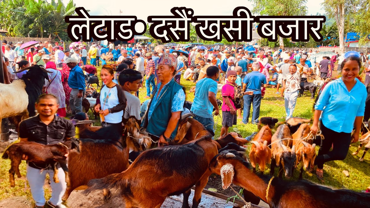 LETANG DASHAIN KHASI BAZAAR MORANG🇳🇵दसैं खसी बजार🐐पुर्व कै ठुलो र सस्तो खसी बजार😱