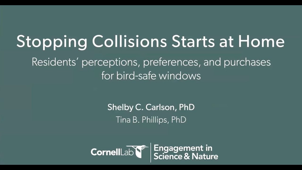 “Stopping collisions starts at home