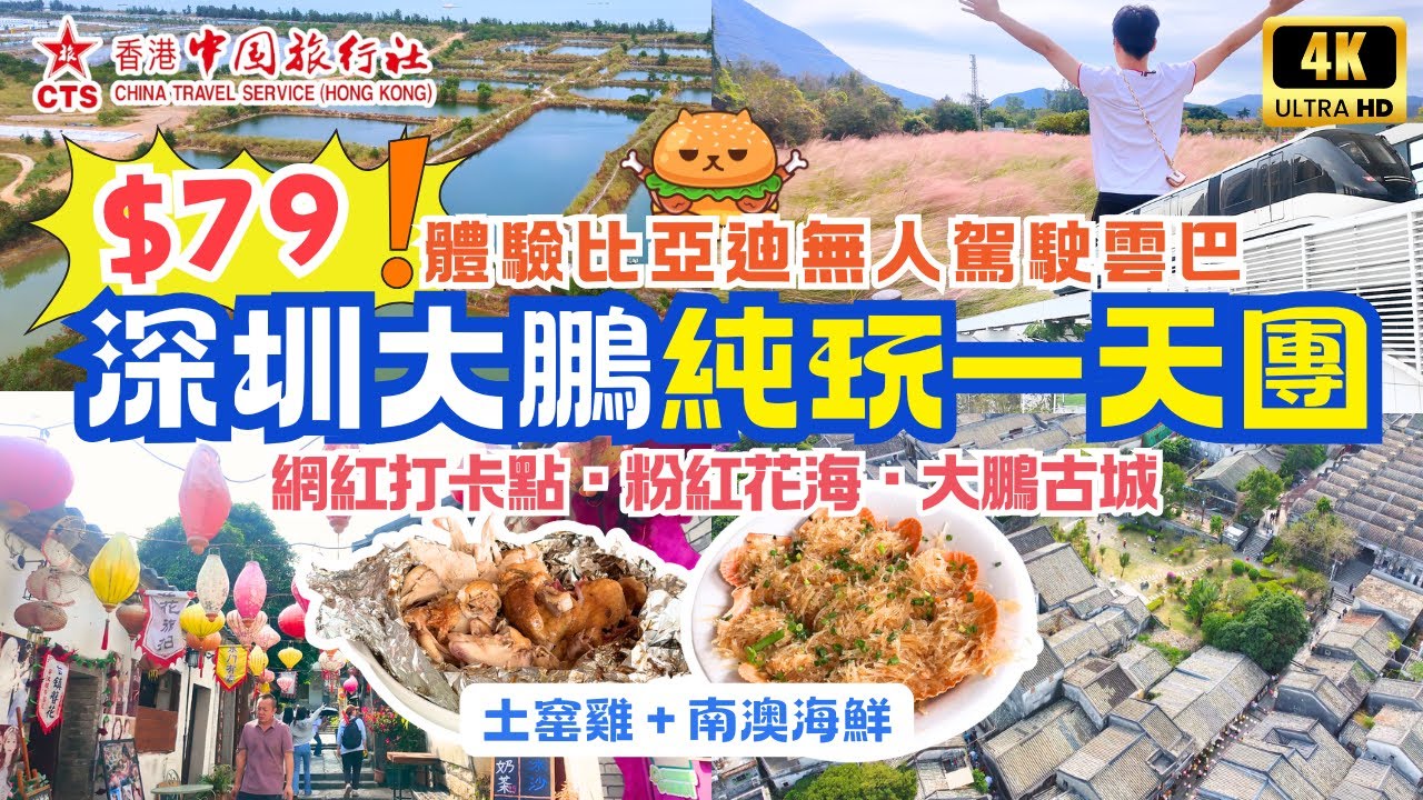 深圳口岸出發｜深圳大鵬一天團🌟團費$79｜乘搭比亞迪空中無人駕駛雲巴｜網紅打卡景點粉紅花海｜慢遊大鵬古城｜享用南澳海鮮x古法雙窯雞宴｜純玩不聽書不購物｜羅湖口岸集合｜香港中國旅行社
