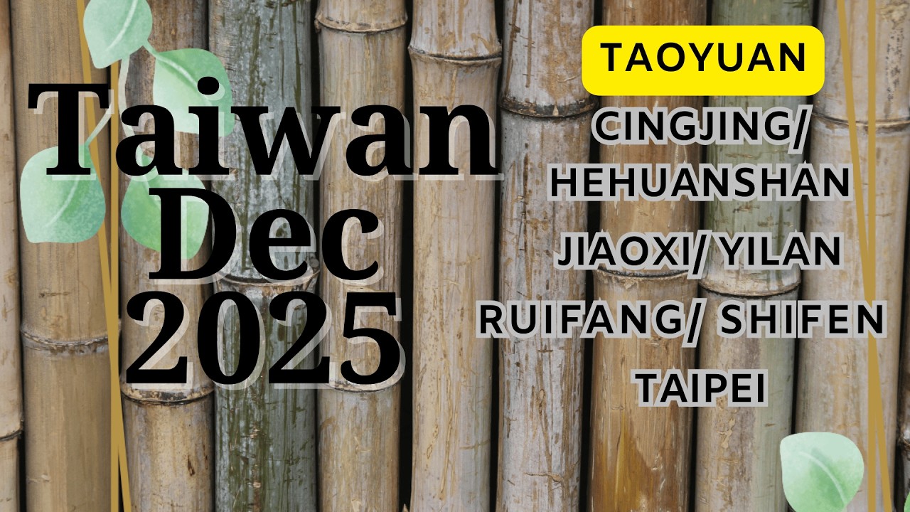 Taiwan Taoyuan with kids teens December 2025 #zhongli #doujiang #playground #offthebeatenpath