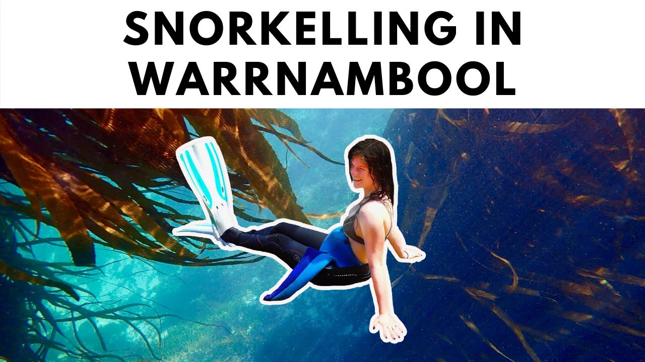 Snorkelling in Warrnambool | Stingray Bay & Thunder Point