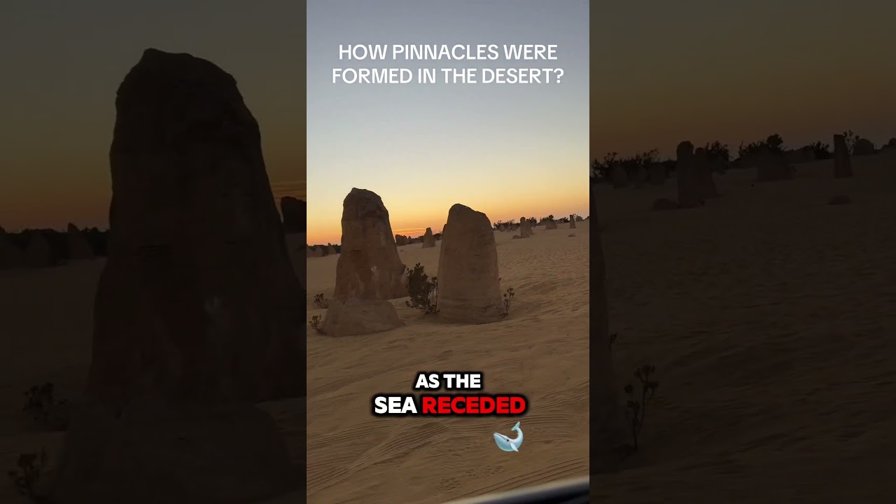 Pinnacles Formation in the Desert of Western Australia