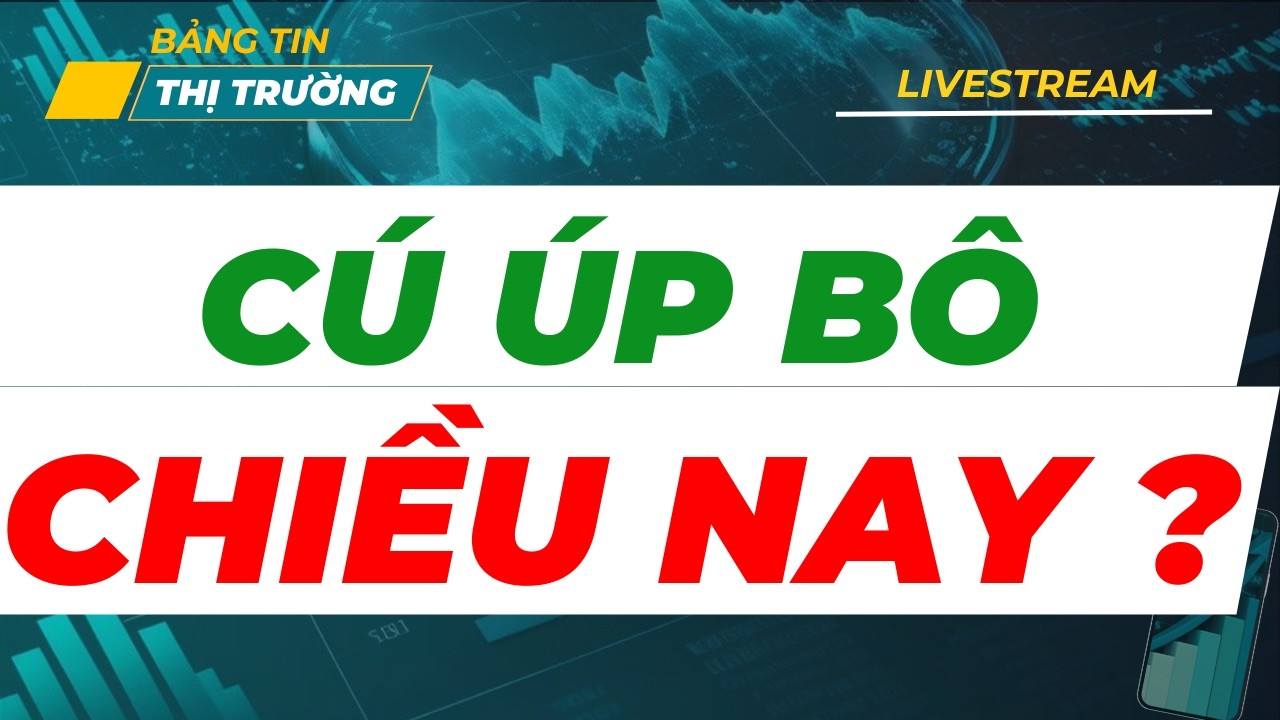 LIVESTREAM TRƯA 3/3| KHẨN CẤP : CÚ 
