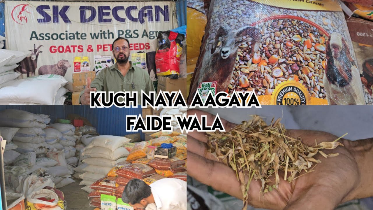 SK Deccan goat feed shop in Hyderabad