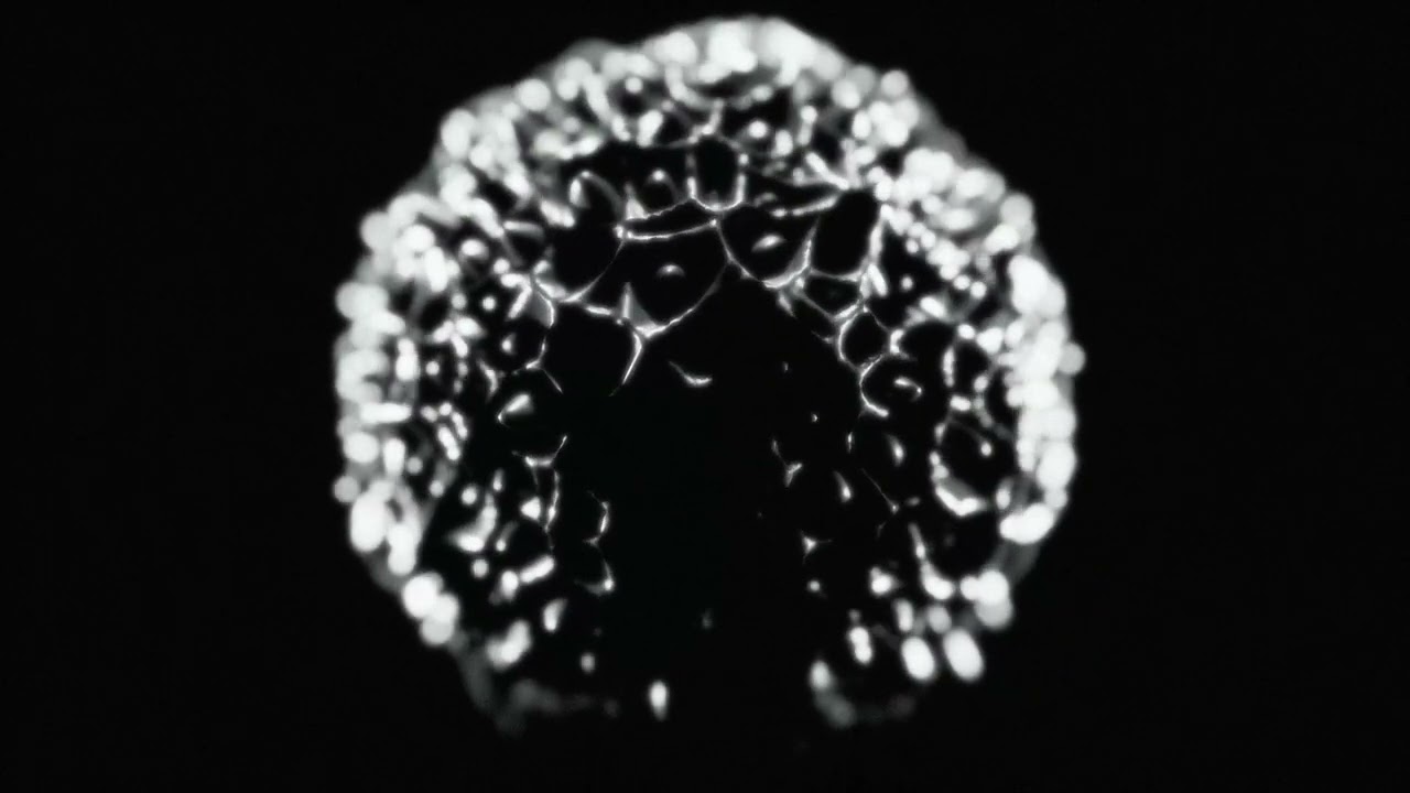 X1-Y2 | CAUSTICS (Official Audio)