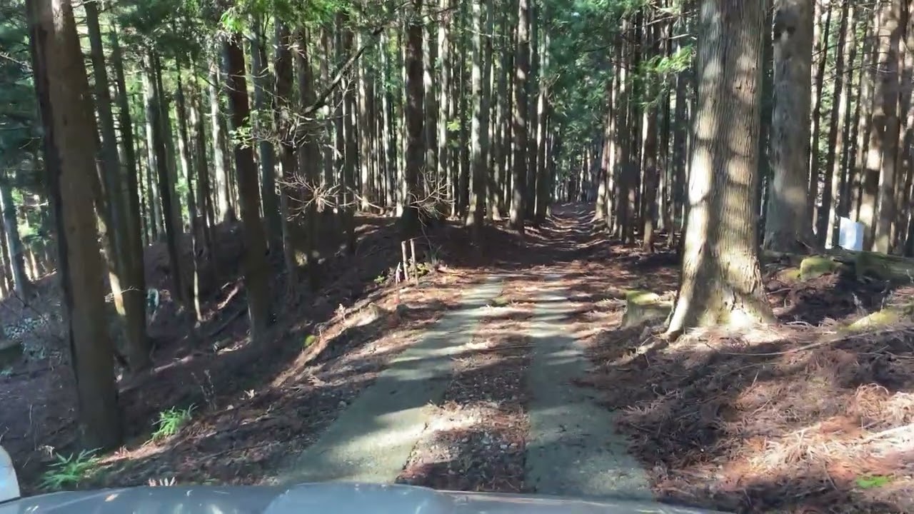 神奈川県相模原市にある釜立林道と支線及び釜立林道ゲートの中を走ってみました。その２
