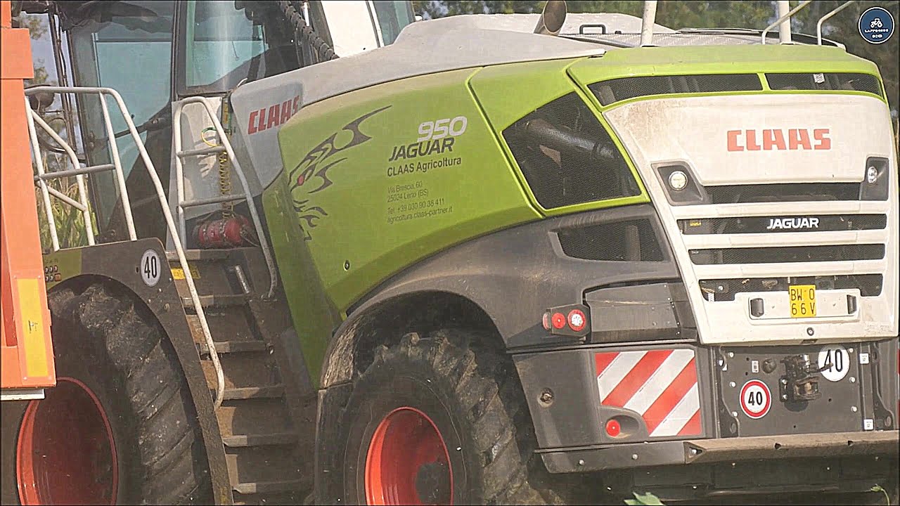Claas Jaguar 950 (502) Special + Orbis 600 8 file - Agricola Franchi - Insilato mais 2024