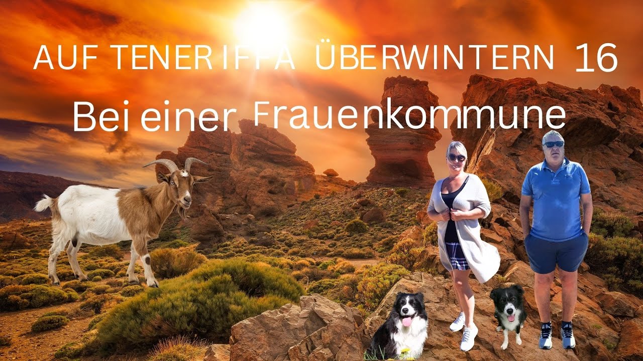 Auf Teneriffa überwintern 16: Die Frauenkommune von Montesdecoa - Was für ein Super-Käse!