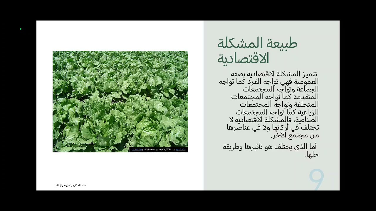تعلم اساسيات علم الاقتصاد  -  المفهوم والتعريف