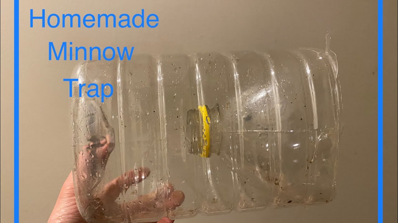 Homemade minnow trap