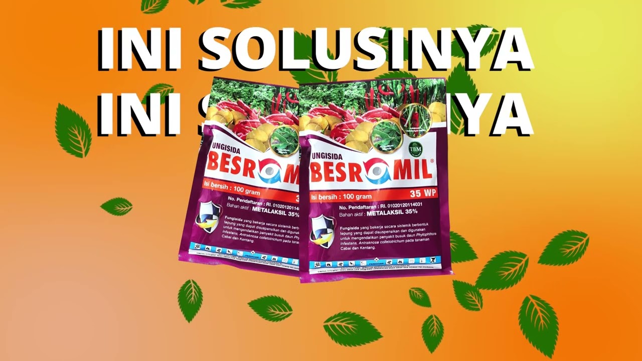 FUNGISIDA ANDALAN TBM! BESROMIL 35 WP