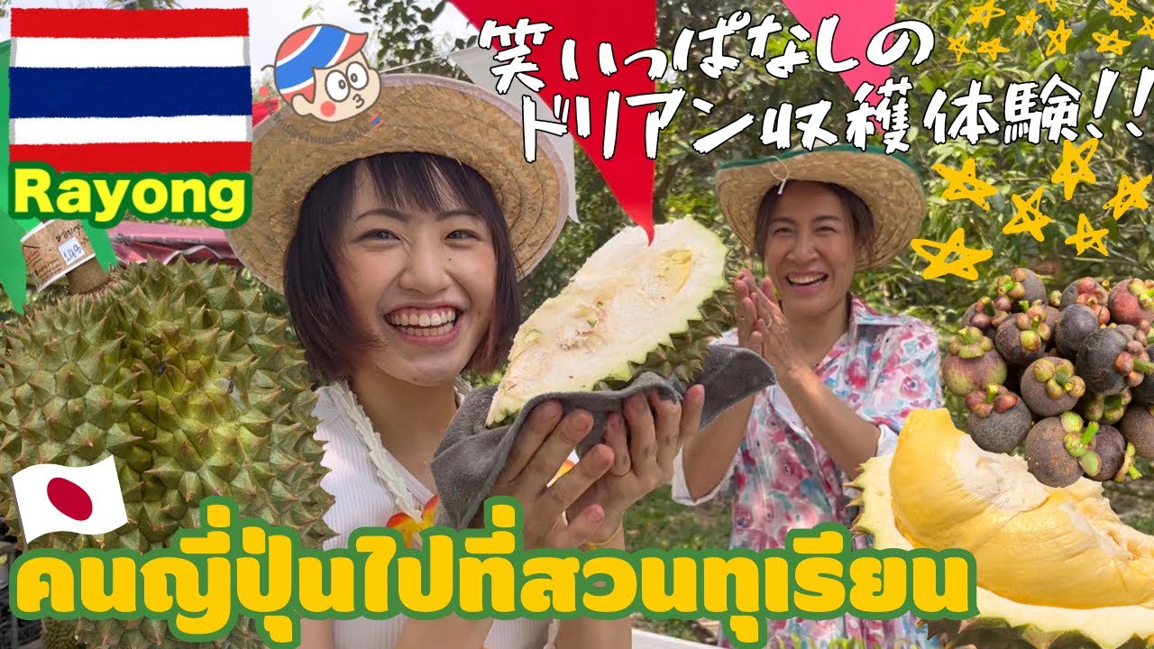 【タイ】初めてのドリアン収穫体験🇹🇭✨あなたは分かる⁉︎モントーンとチャニーの見分け方🙌🏻
