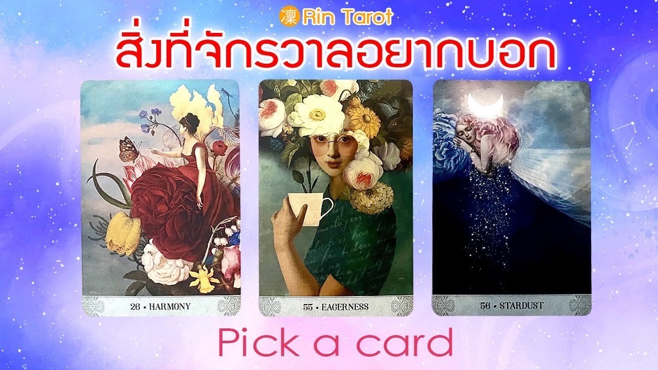 Pick a Card สิ่งที่จักรวาลอยากบอก เรื่องสำคัญสำหรับคุณในเวลานี้