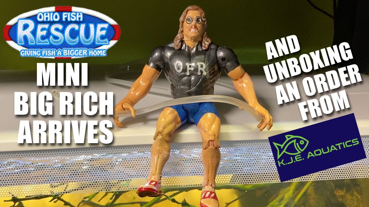 Ohio Fish Rescue's Mini Big Rich arrives ready for adventure and unboxing an order from KJE Aquatics