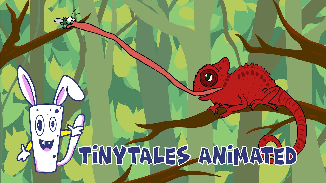 Let's know the animal | Chameleon Facts for Kids | Fun Learning Video for Kids | Tinytales Animated