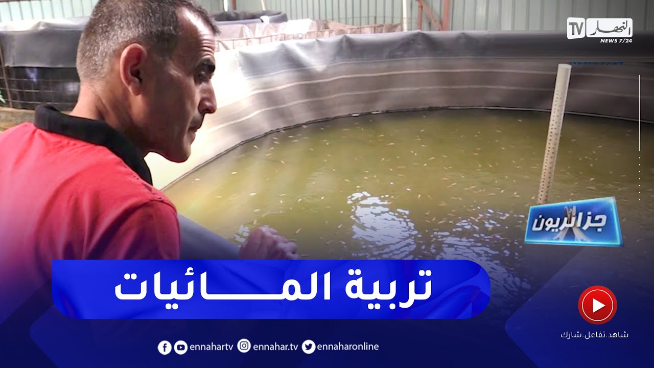 جزائريون: تربية المائيات ..  مشاريع ذات آفاق واعدة