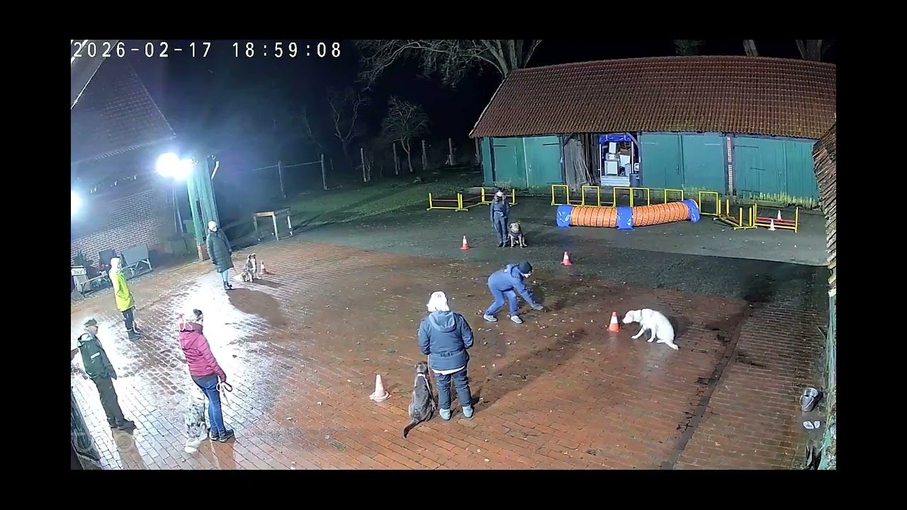 Hundeschule Wolf und Co am 17.Februar.2026 #hundepension #hundeschule #hundefutter