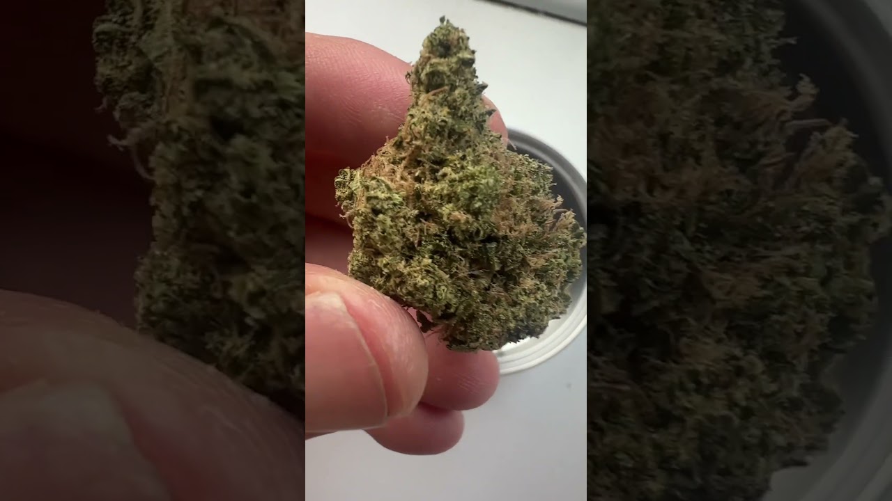 Onlybuds: skywalker - gush mintz #weedgotmefaded #cannabiscommunity420 #cannabisuk #dope #flower