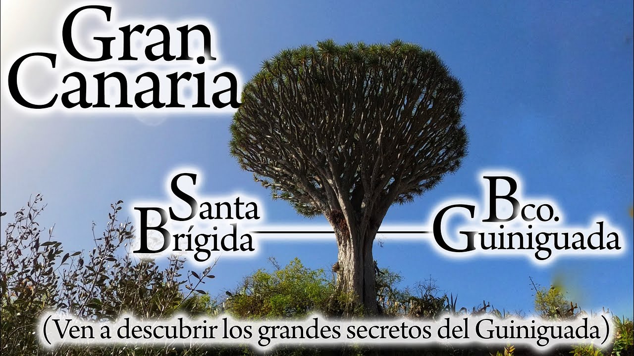 TRAIL 070825 Gran Canaria: Circular del Guiniguada en Santa Brígida. 