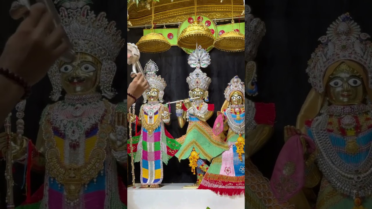 Shree Laxminarayan Dev VadtalDham #nautamswami #vadtalisfinaldestination