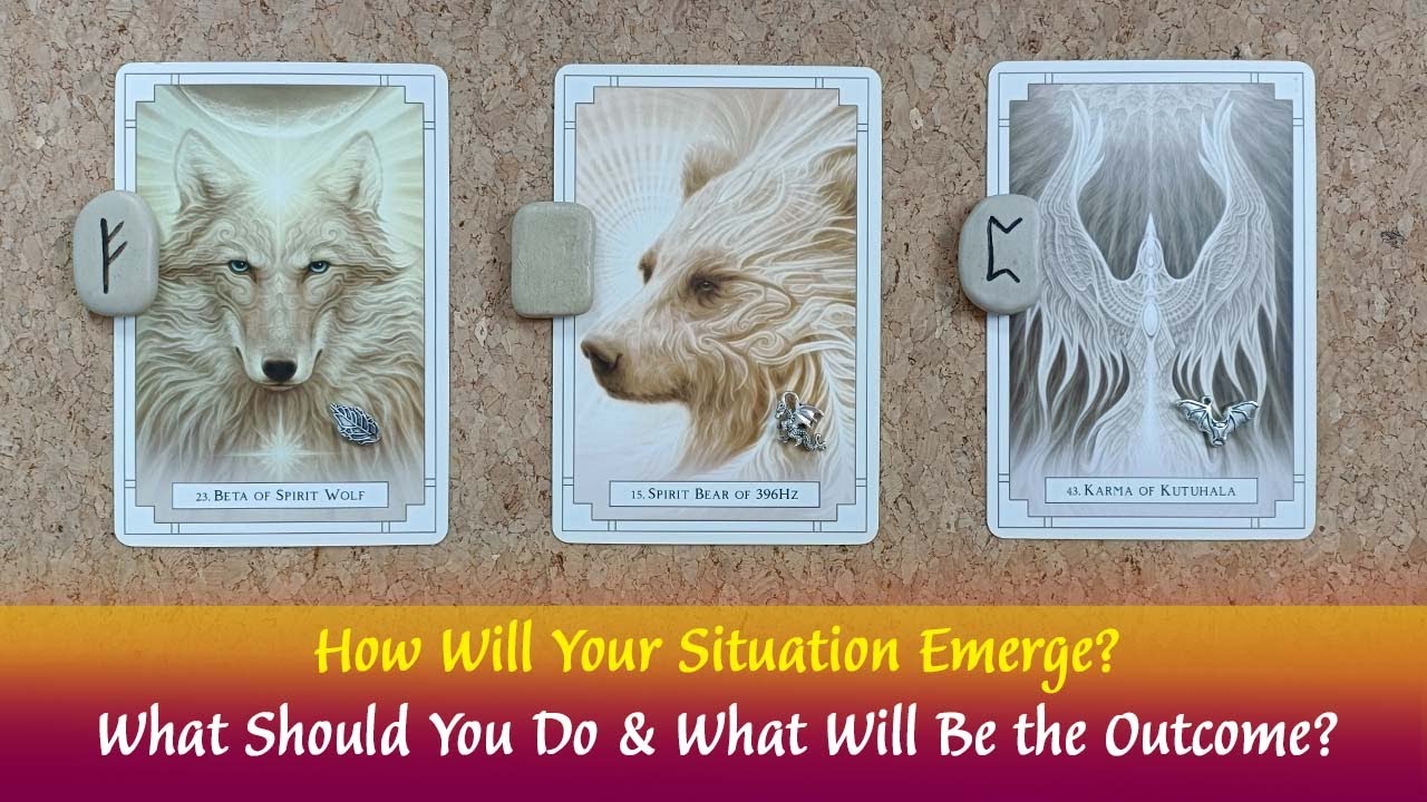 How Will Your Situation Emerge🤷‍♀️🤩What Should You Do & What Will The Outcome Be? #timelesspickacard