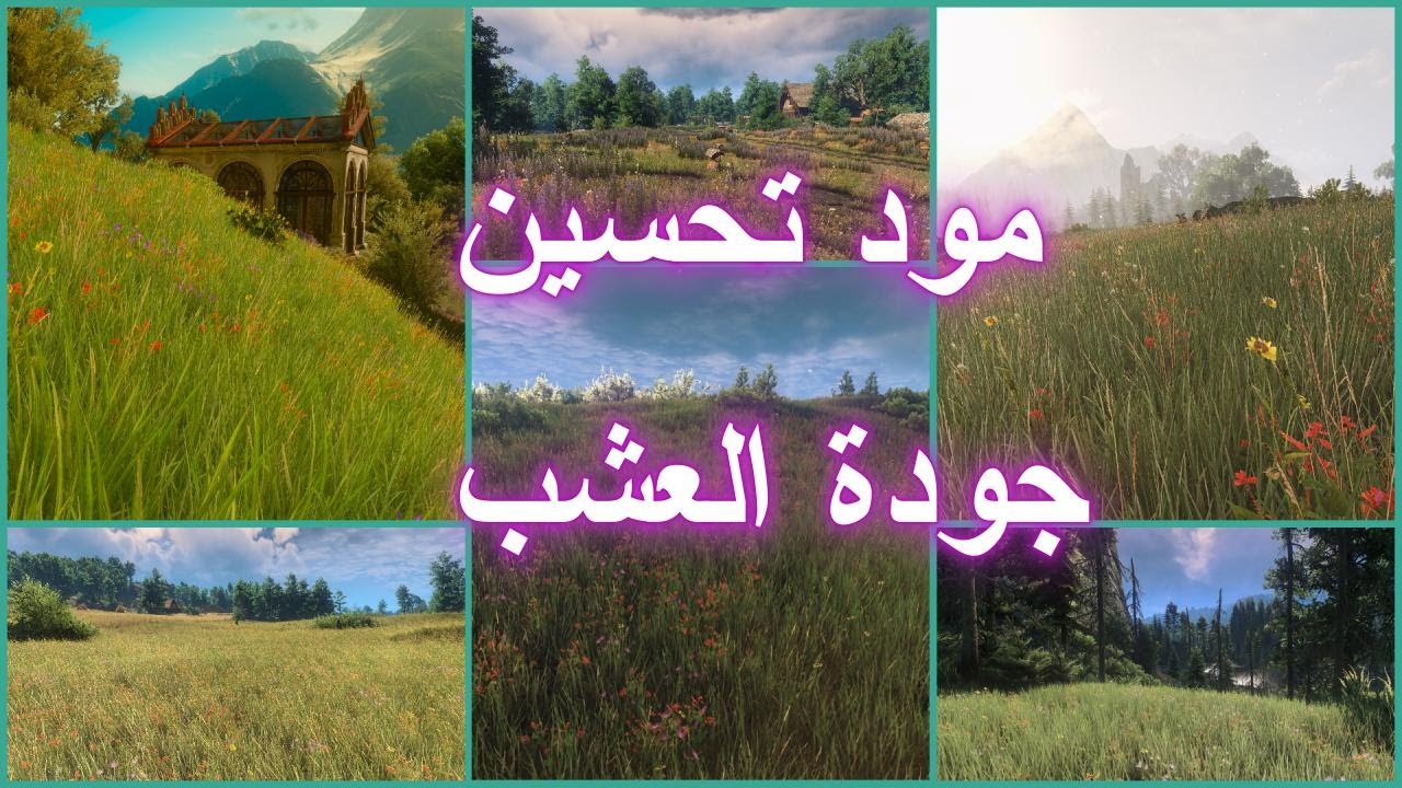 مود جديد لتحسين جودة العشب في ذا وتشر 03