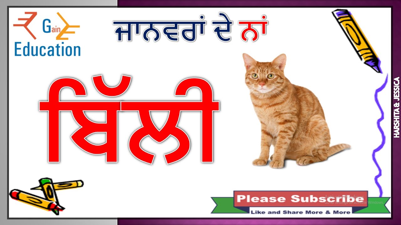 Animals name in Punjabi ਜਾਨਵਰਾਂ ਦੇ ਨਾਂ ਪੰਜਾਬੀ ਵਿੱਚ ਆਓ ਪੰਜਾਬੀ ਸਿੱਖੀਏ