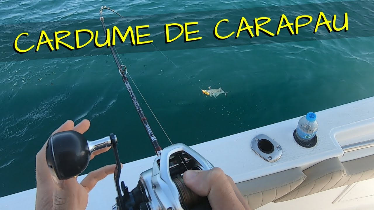 CARDUME DE CARAPAU - PESCARIA COM COCOLOCO FISHING