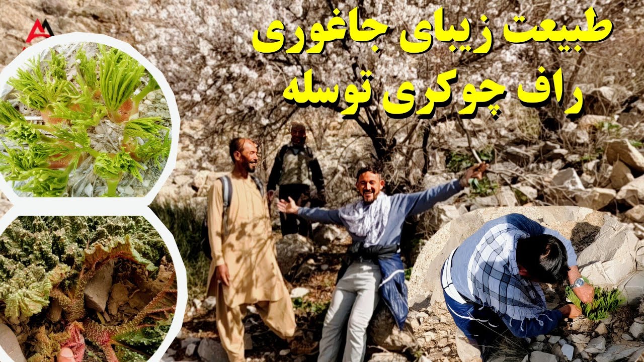 سفر به دل طبیعت جاغوری به دنبال راف چوکری 