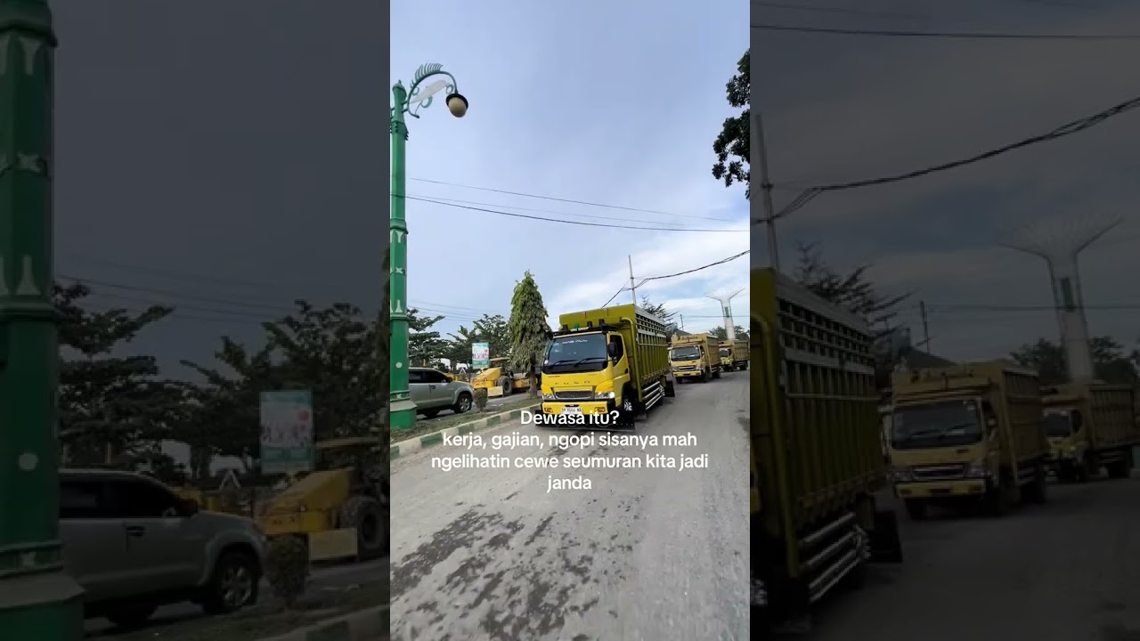 bujang tidak bergaya dengan wanita yg sudah janda#trukacehviral#trukoleng#lintassumatera#drivermuda