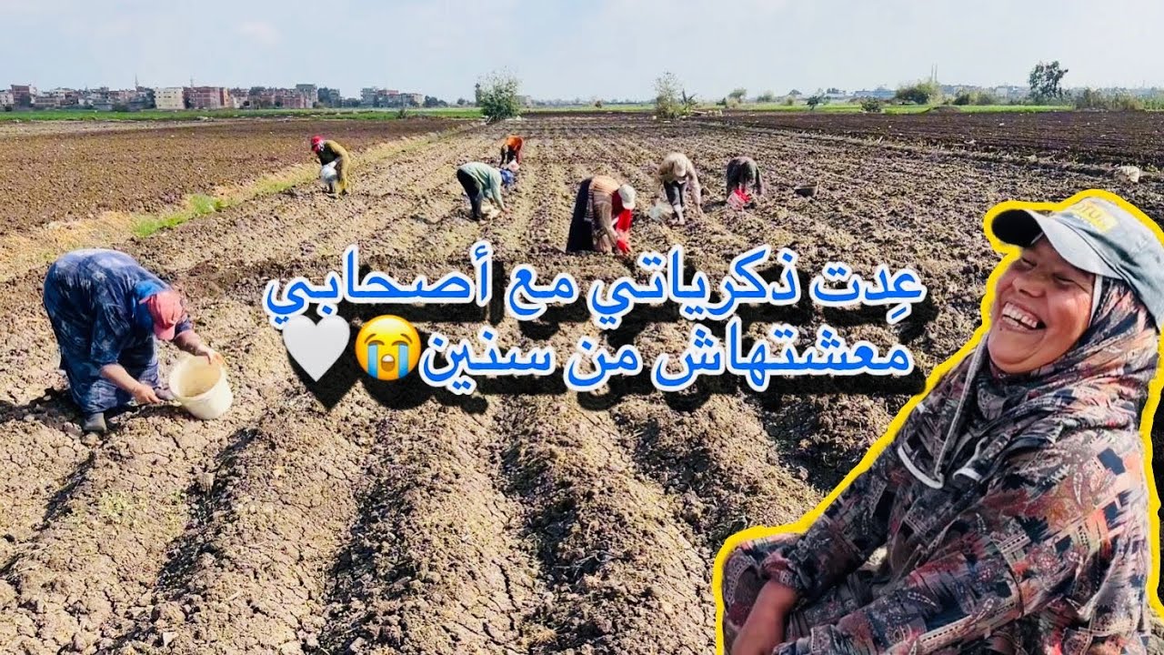 النهاردة اليوم العالمى لزراعة البطاطس اليوم بتمناة يجى وانا قلبى فرحان وكمان زكريات وكلام من القلب🤍😭