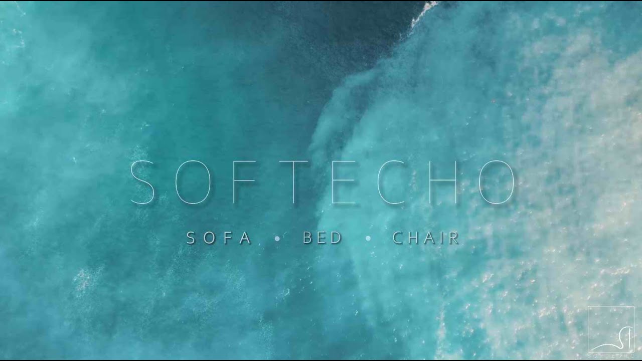 SOFTECHO VALUE TO YOU