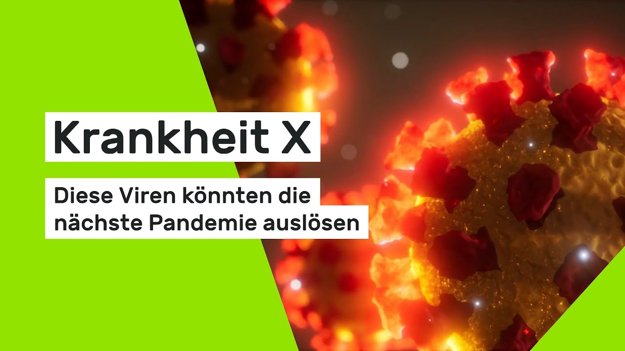 Krankheit X: Experten warnen - diese Viren k&ouml;nnten die n&auml;chste Pandemie ausl&ouml;sen
