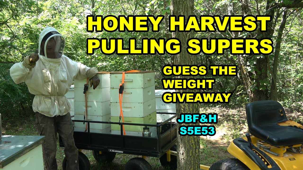 Honey Harvest at Jerome Bee Farm, Pulling Honey Supers S5E53 #beekeeping #honey #honeyharvest