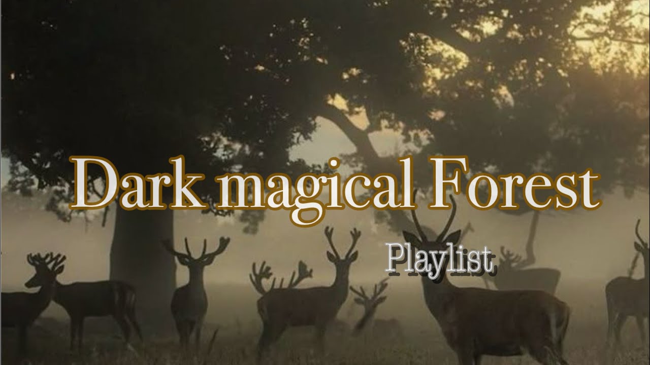A playlist for Dark&Magical forest vibes🌳🏹🎧