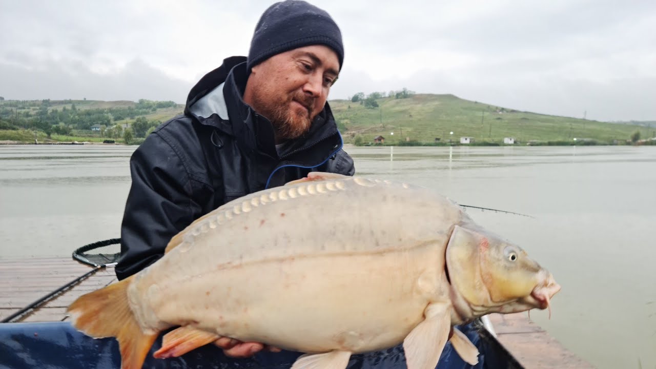 Nada clasica sau fishmeal la crap cu feederul ?