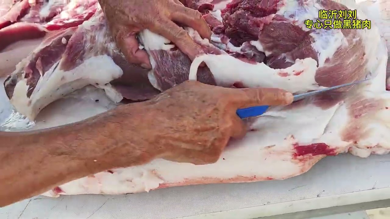 三头猪送大哥一对一定制 挑战临沂打膘王