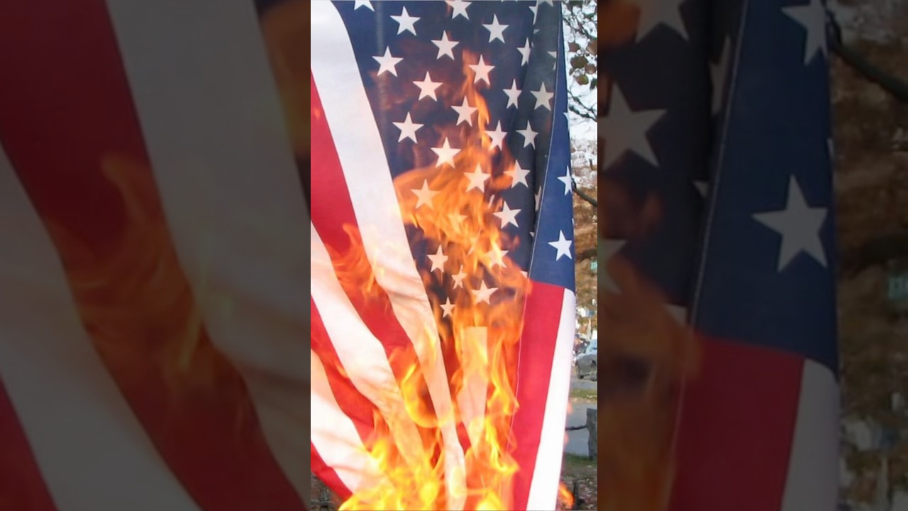 #american #flag #freedom #curiousredmonster #puppet