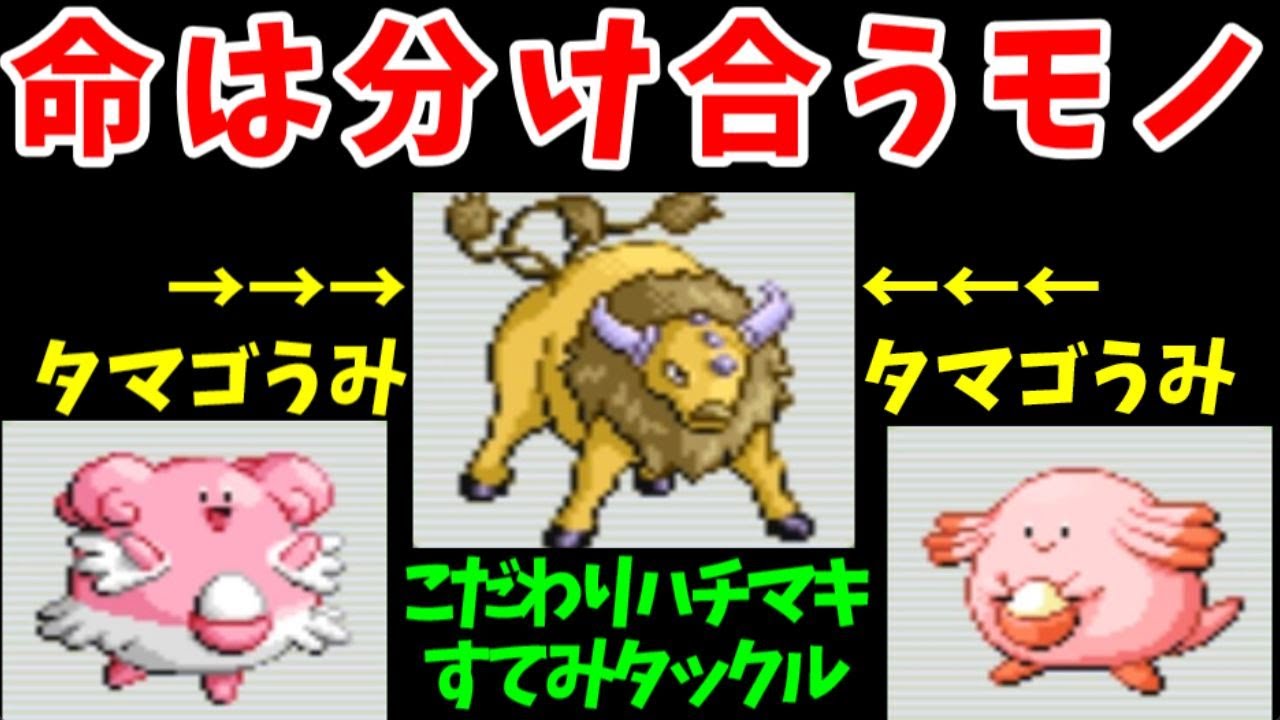 HPを分け合えば、反動技で無双できる説【ゆっくり実況】【ポケモンEm】